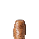 Ariat Quantum Primo Western Boot 10040281